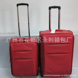 廣州市花都區(qū)永利箱包廠 網(wǎng)絡科技領域內(nèi)的技術開發(fā)探索